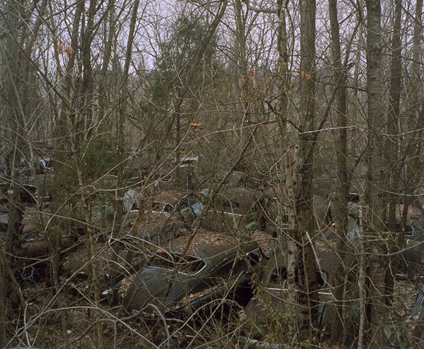 Carousel Image number 3